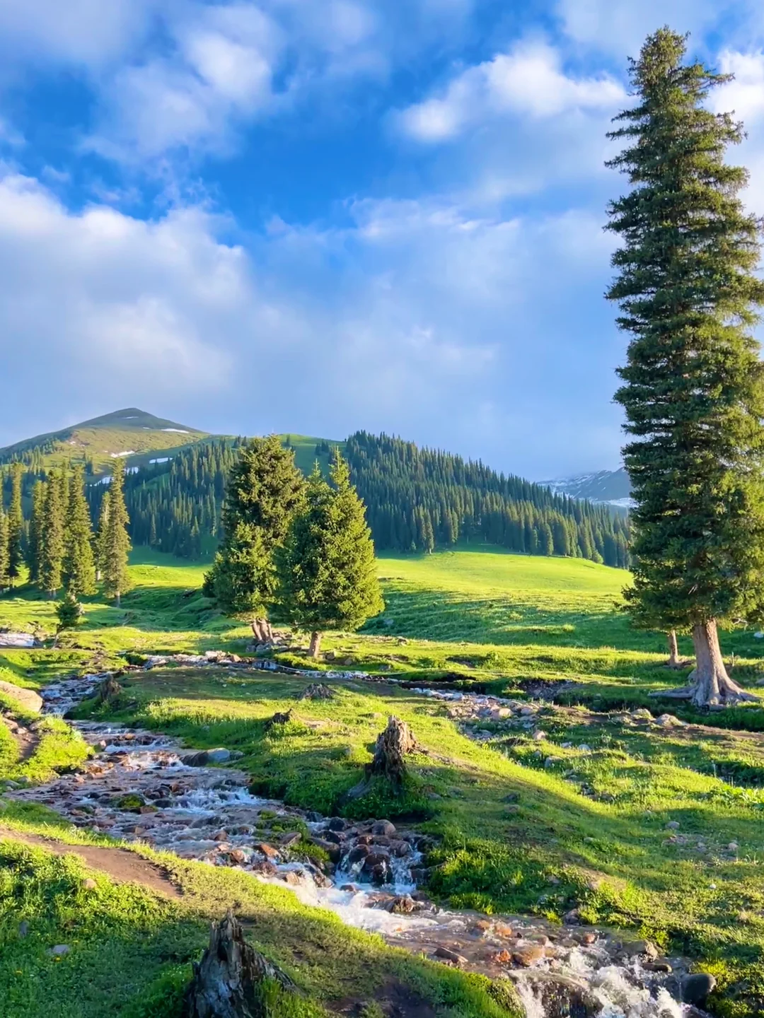 新疆旅游🍃在伊犁拍到了人生live～