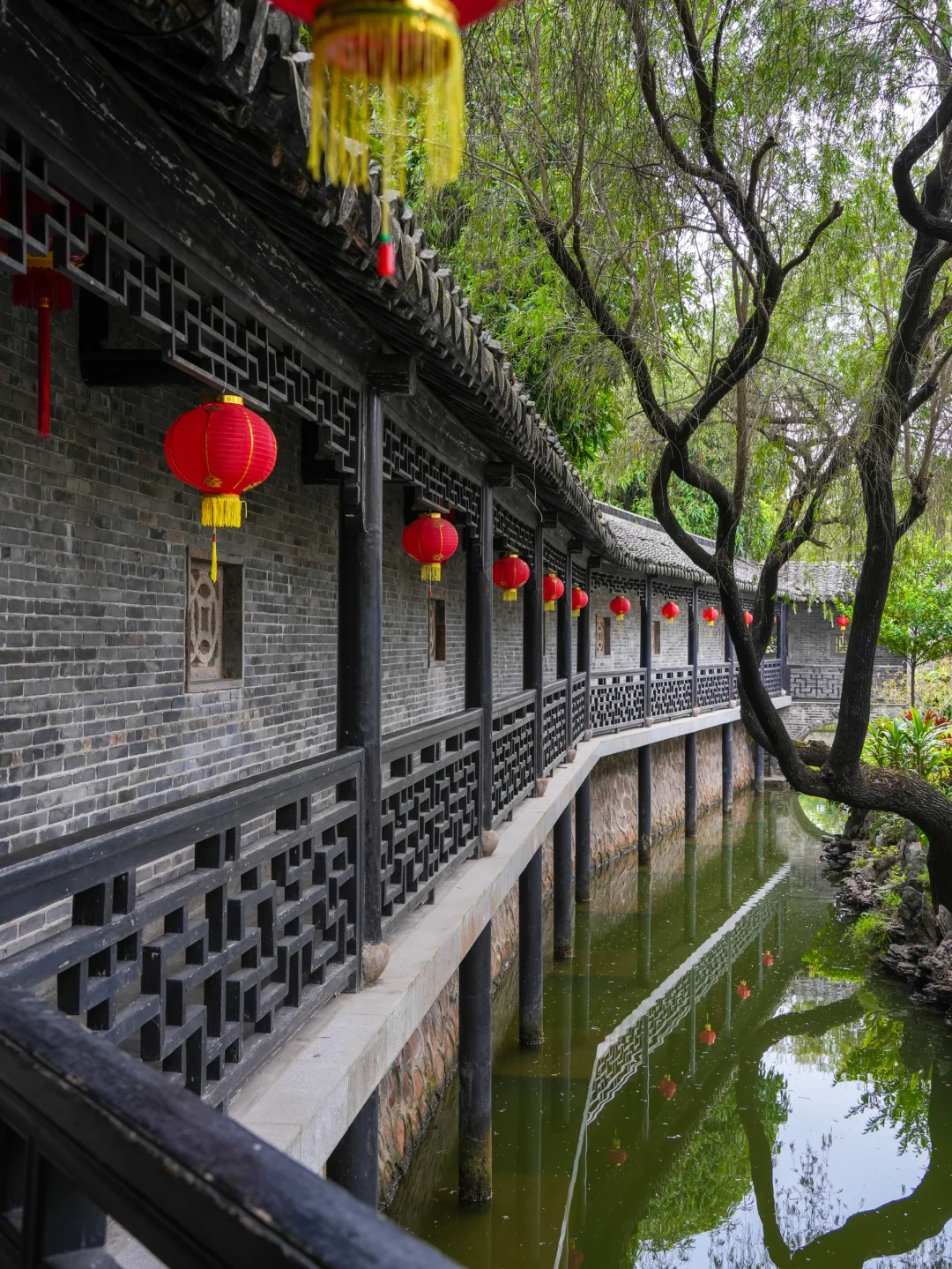 就在广东，我最喜欢的小众城市出现了‼️