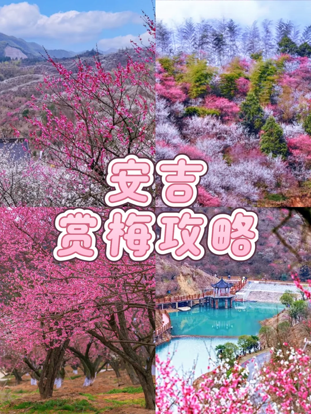 早春限定｜安吉两天一夜赏梅攻略