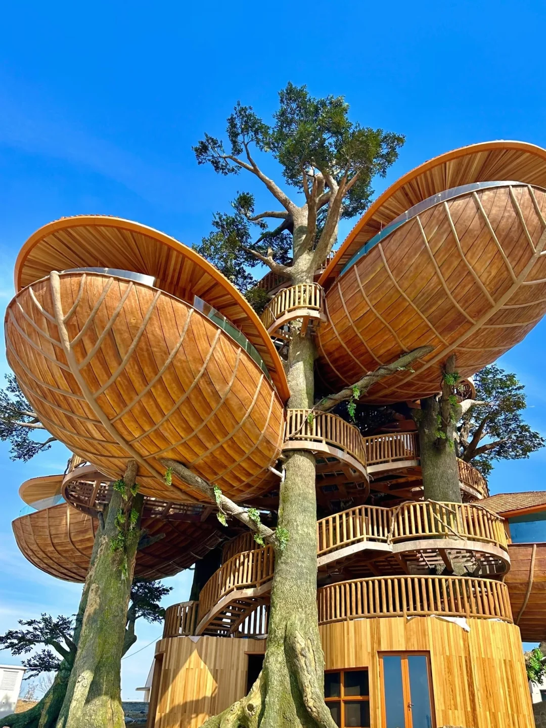 男友做的日照旅游攻略，不愧是理工男的逻辑