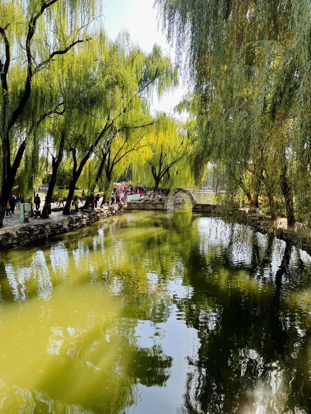 秋天的圆明园别有一番秋味🍂 北京.圆明园