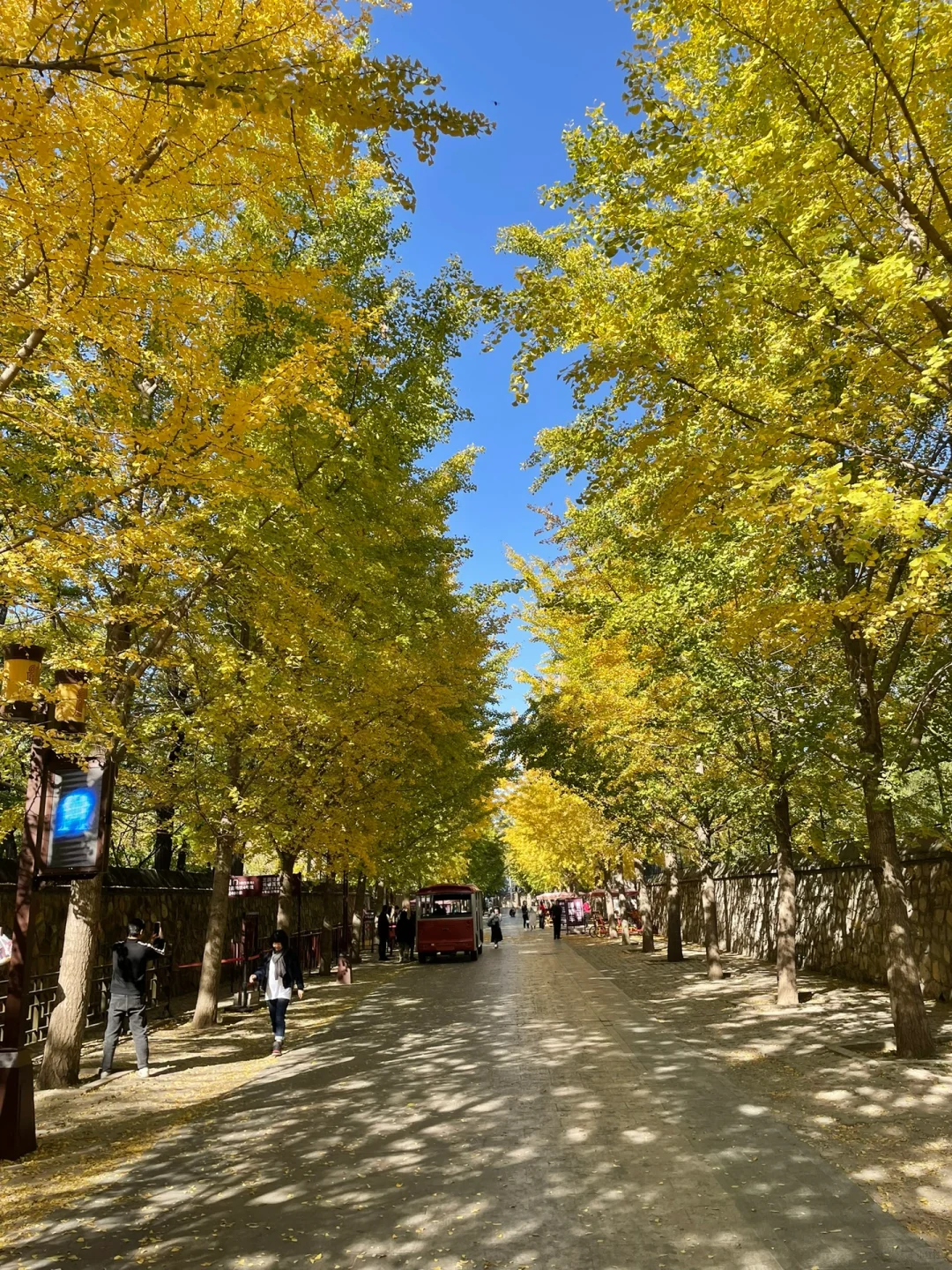 秋天的圆明园别有一番秋味🍂 北京.圆明园
