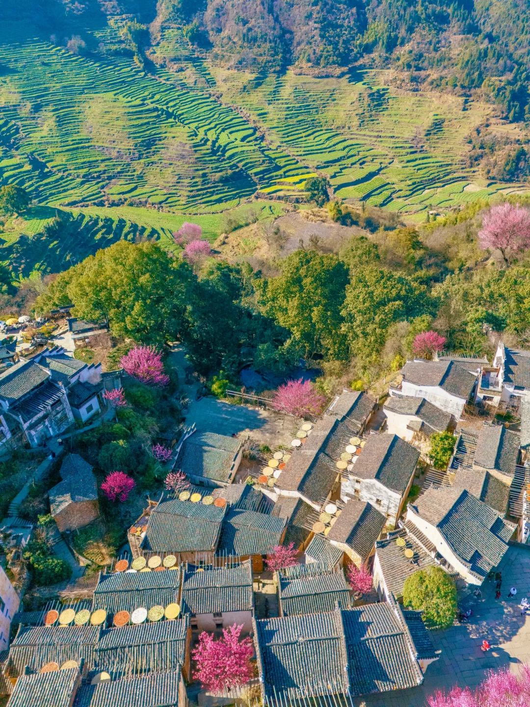 被国家地理评为最美古村👍🏻春天好绝‼️