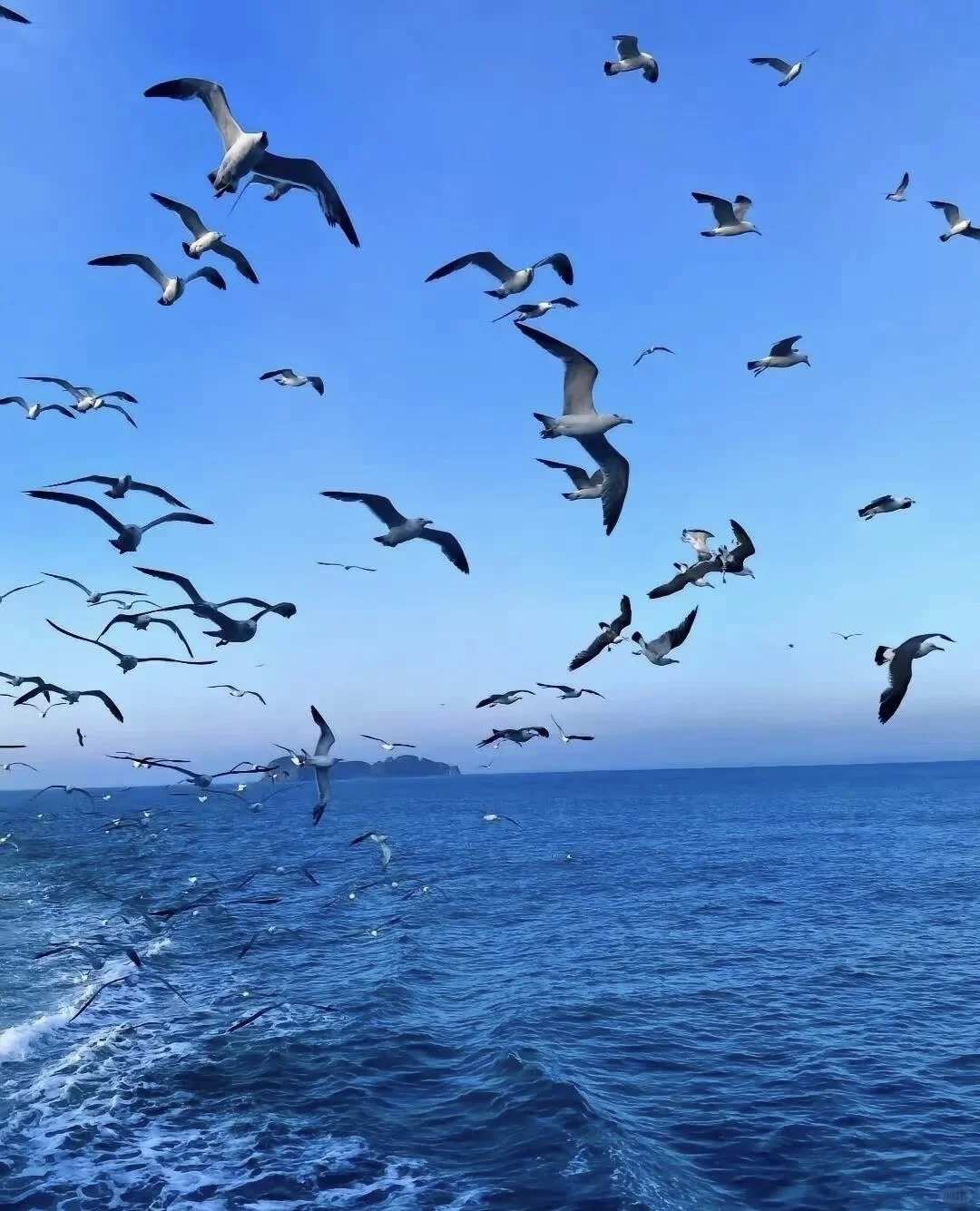 ❤山东威海 三天两夜旅行攻略