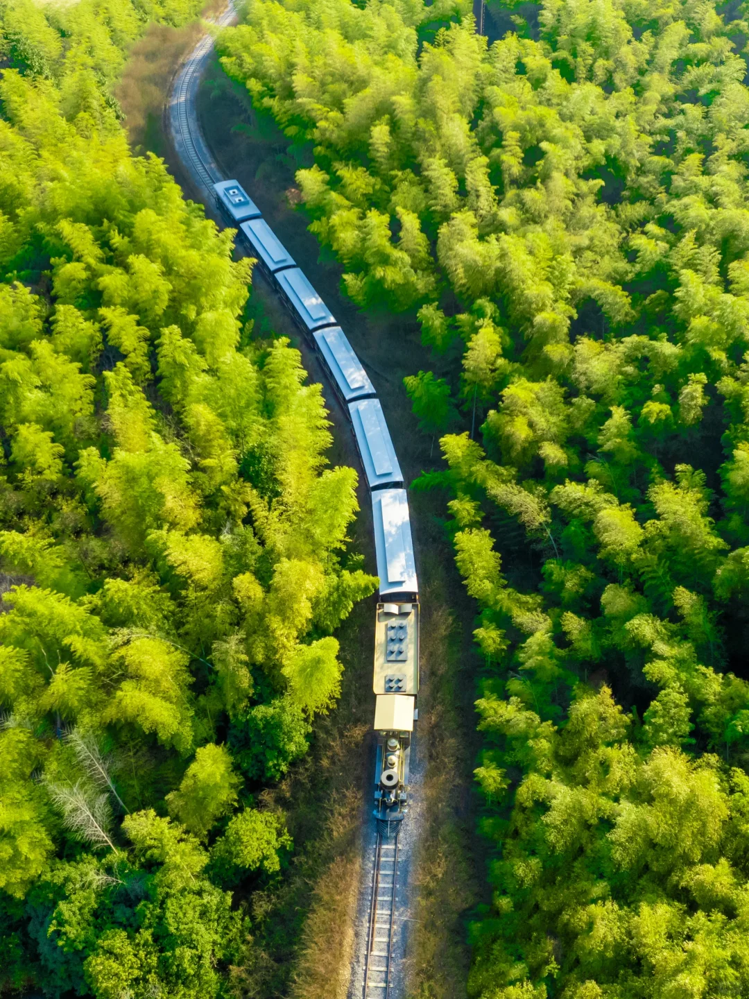被低估的江浙沪宝藏小镇‼真的美哭😭了