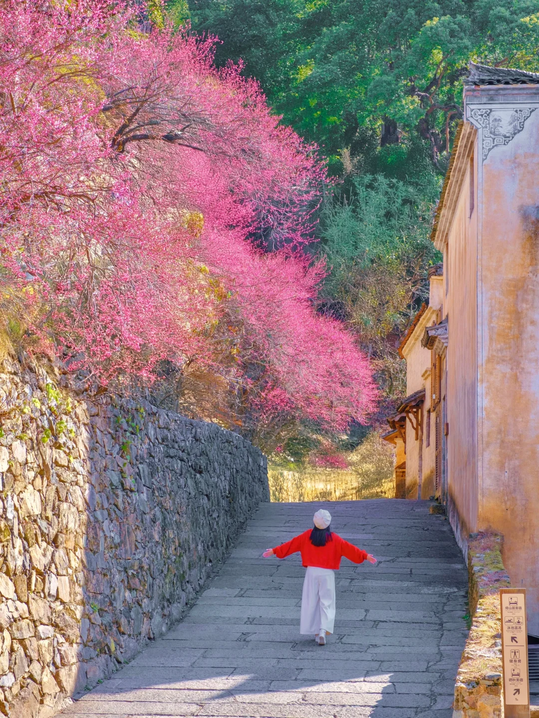 被国家地理评为最美古村👍🏻春天好绝‼️
