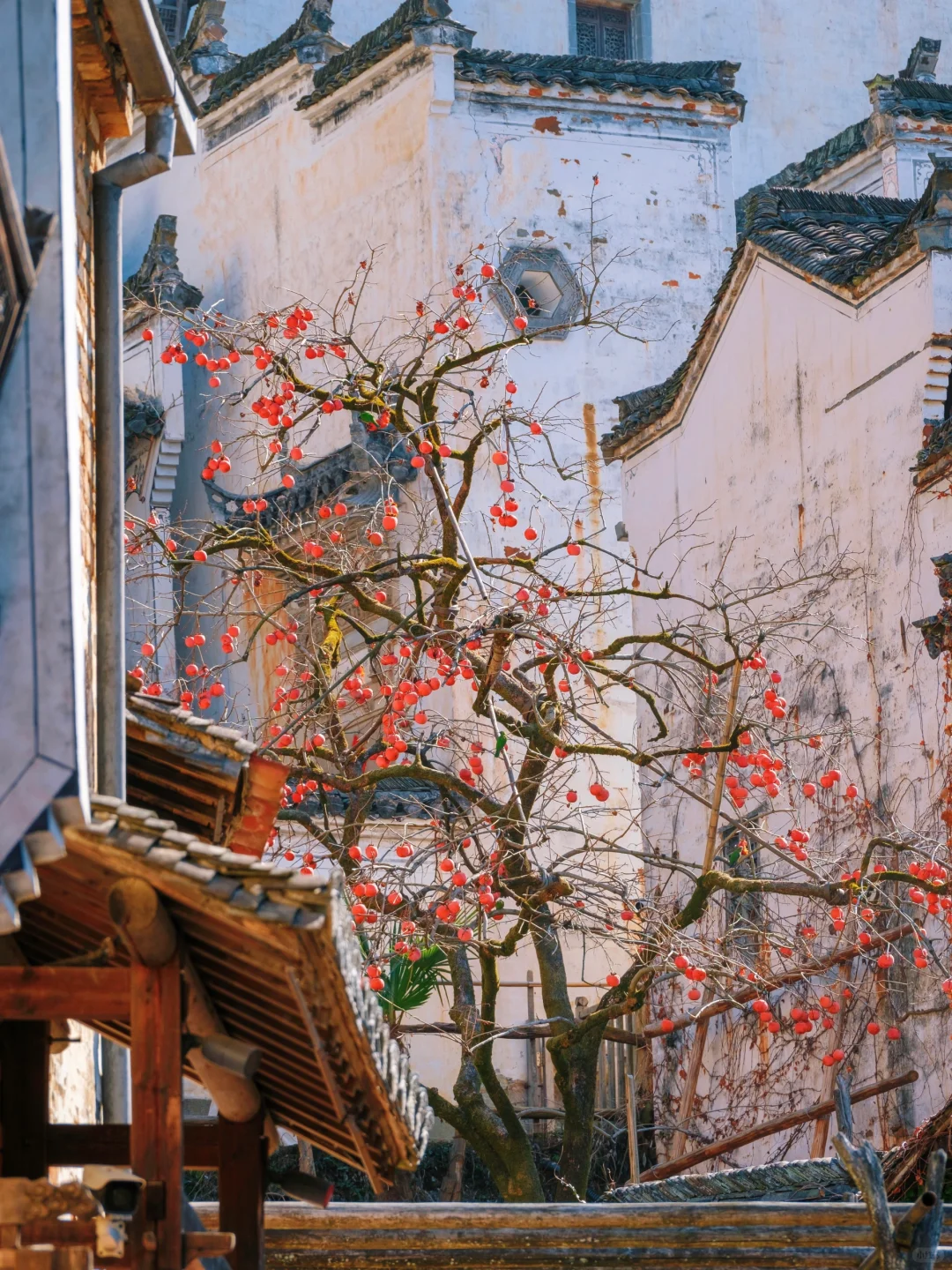 被国家地理评为最美古村👍🏻春天好绝‼️