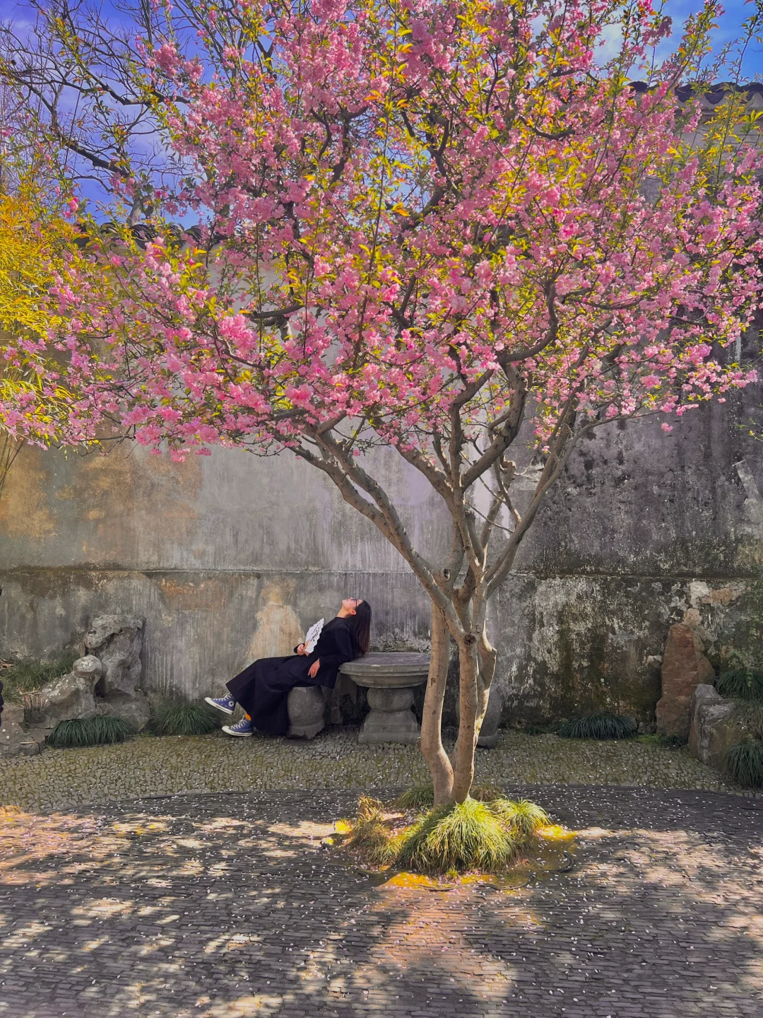 春节过后苏州将迎来一万次春和景明