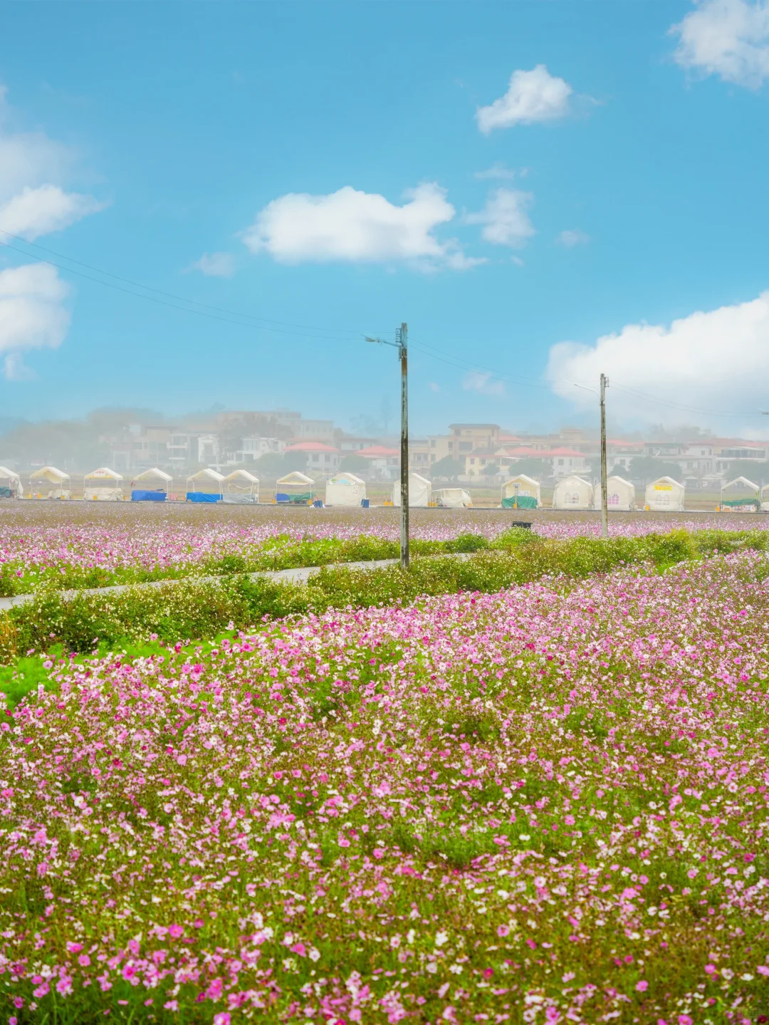 就在广东，我最喜欢的小众城市出现了‼️