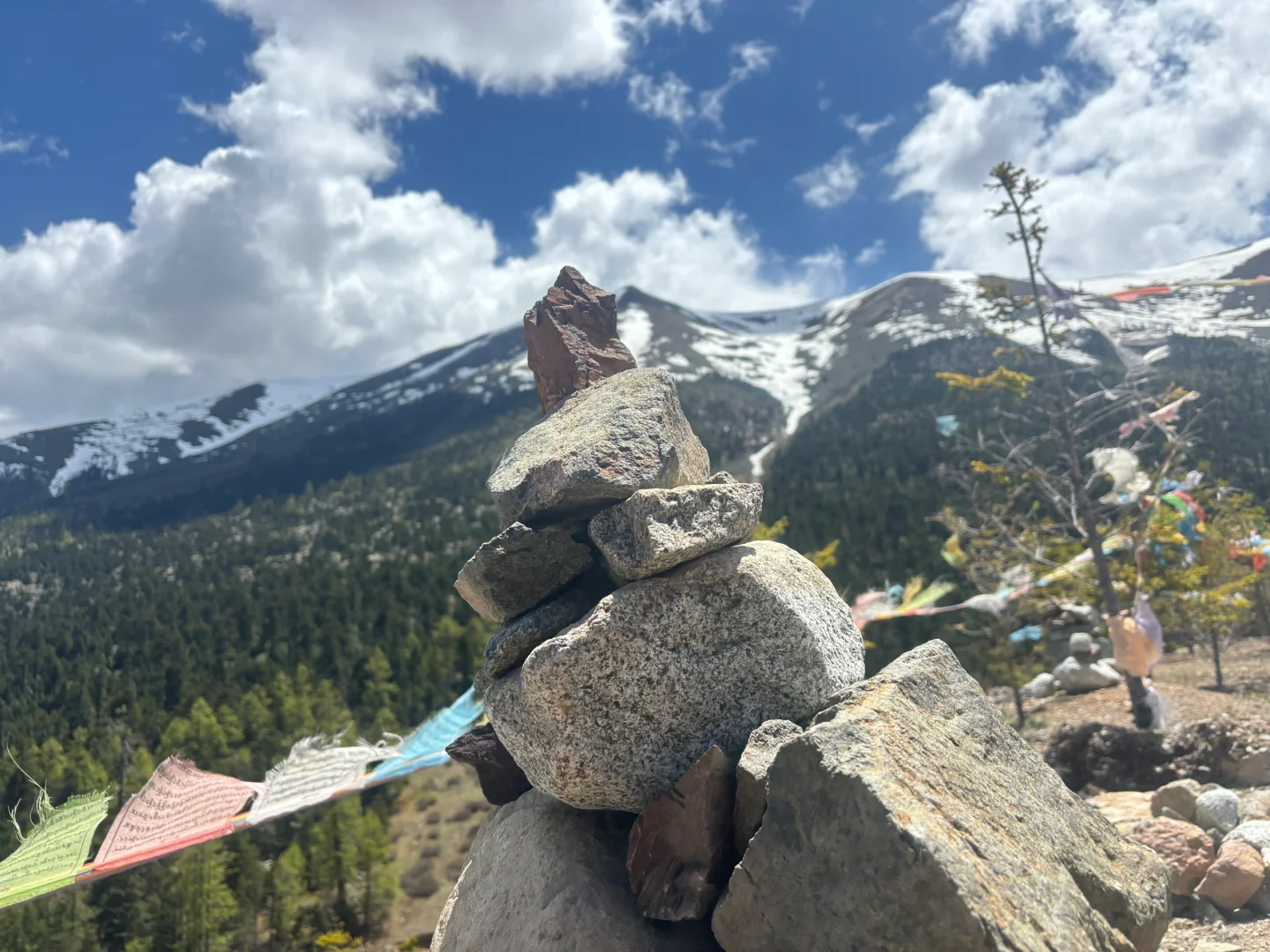 6月云南旅游攻略推荐！