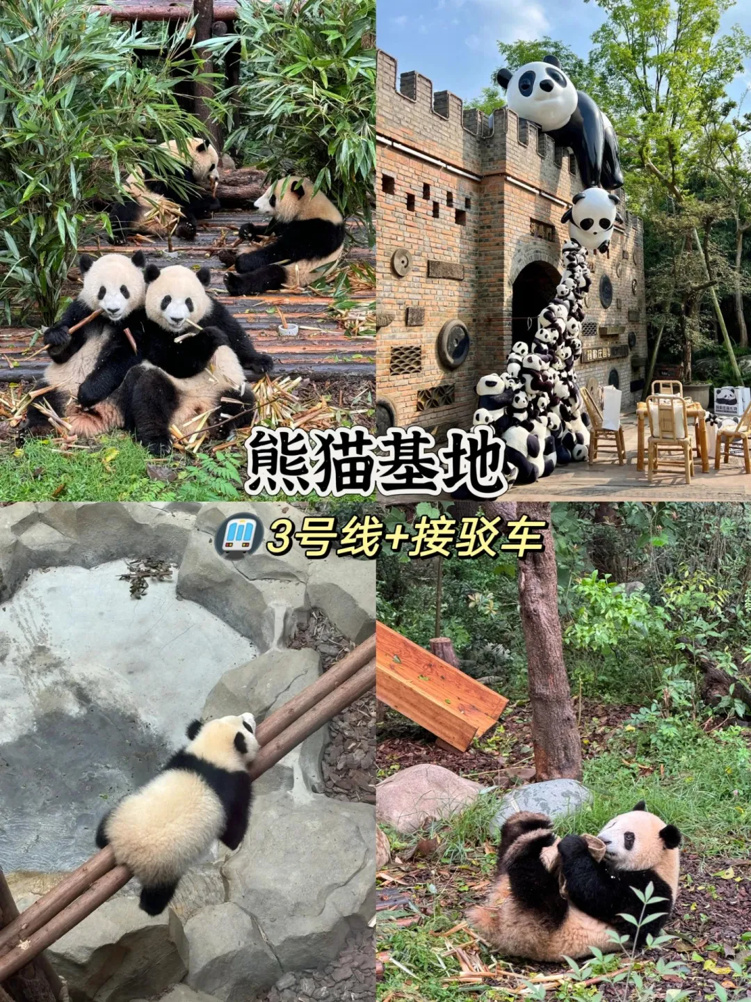 成都必去的十大景点旅游打卡攻略‼️