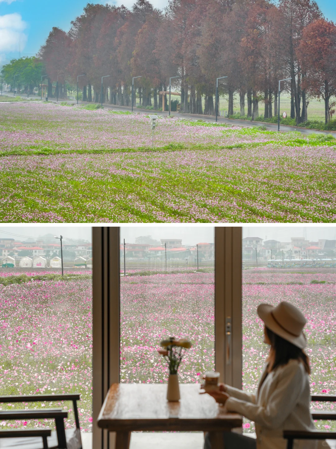 就在广东，我最喜欢的小众城市出现了‼️