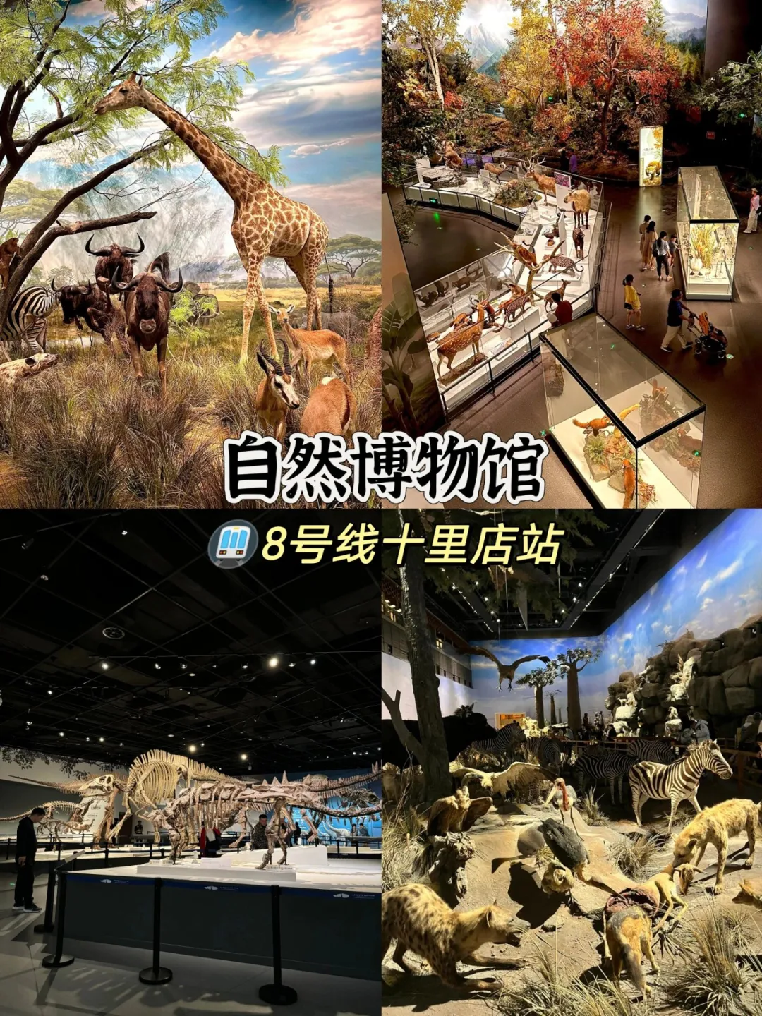 成都必去的十大景点旅游打卡攻略‼️