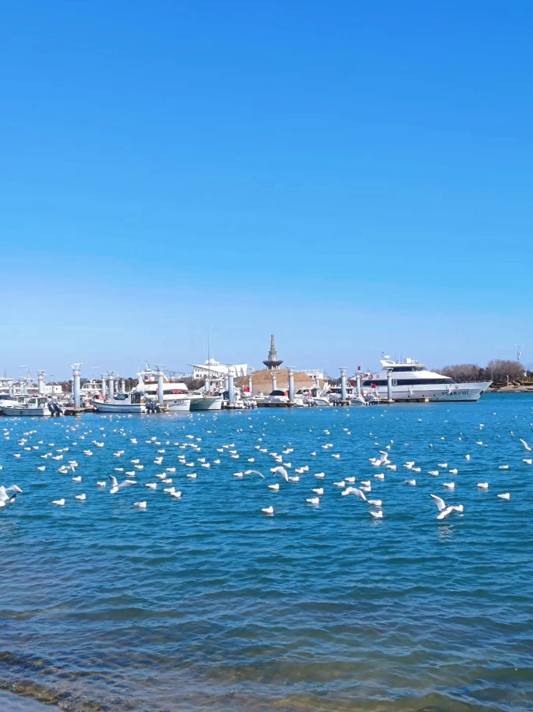 日照2天1夜旅游攻略！！人均500💰