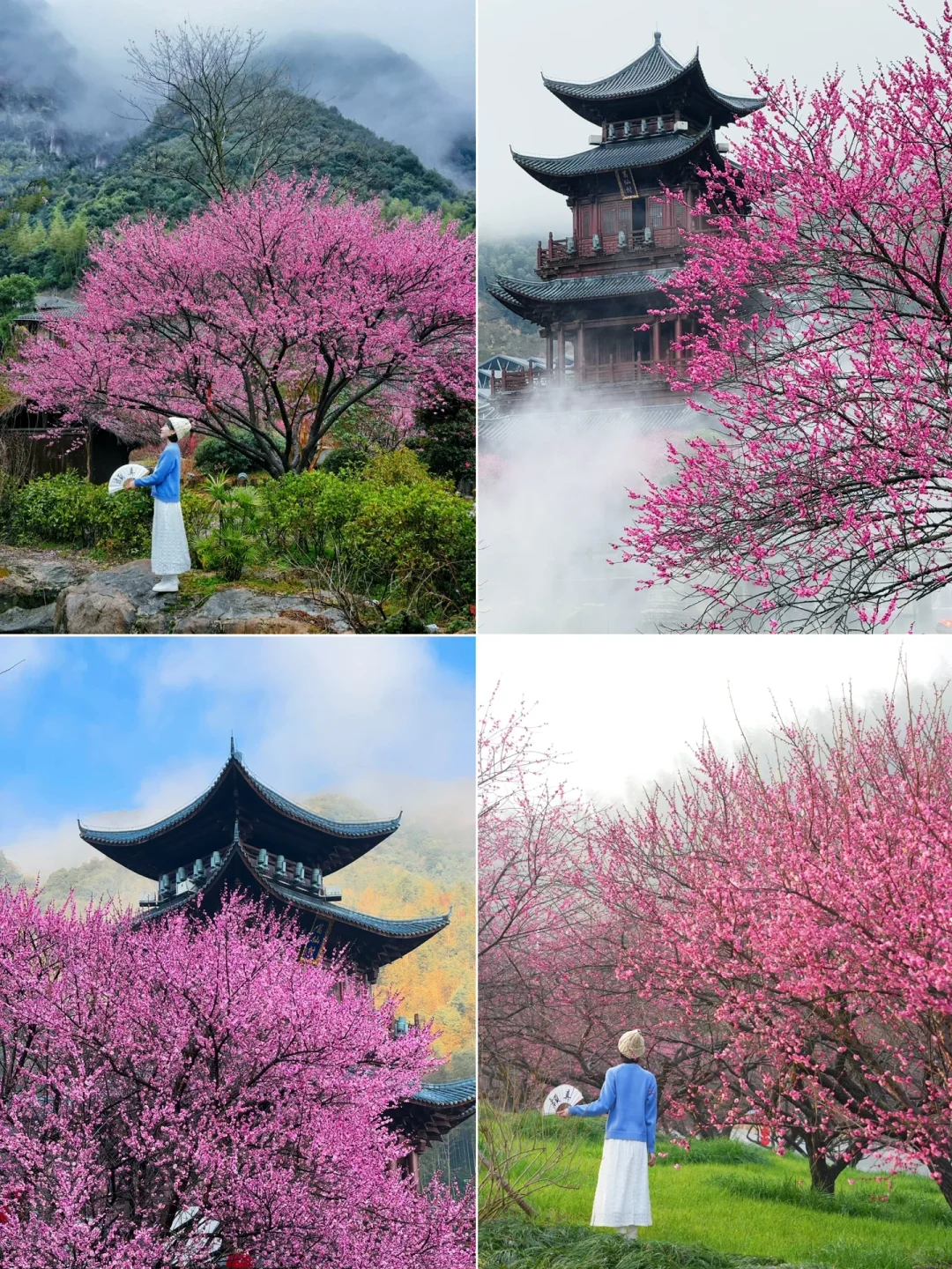 不愧是《国家地理》推荐的人间仙境‼美哭我😭