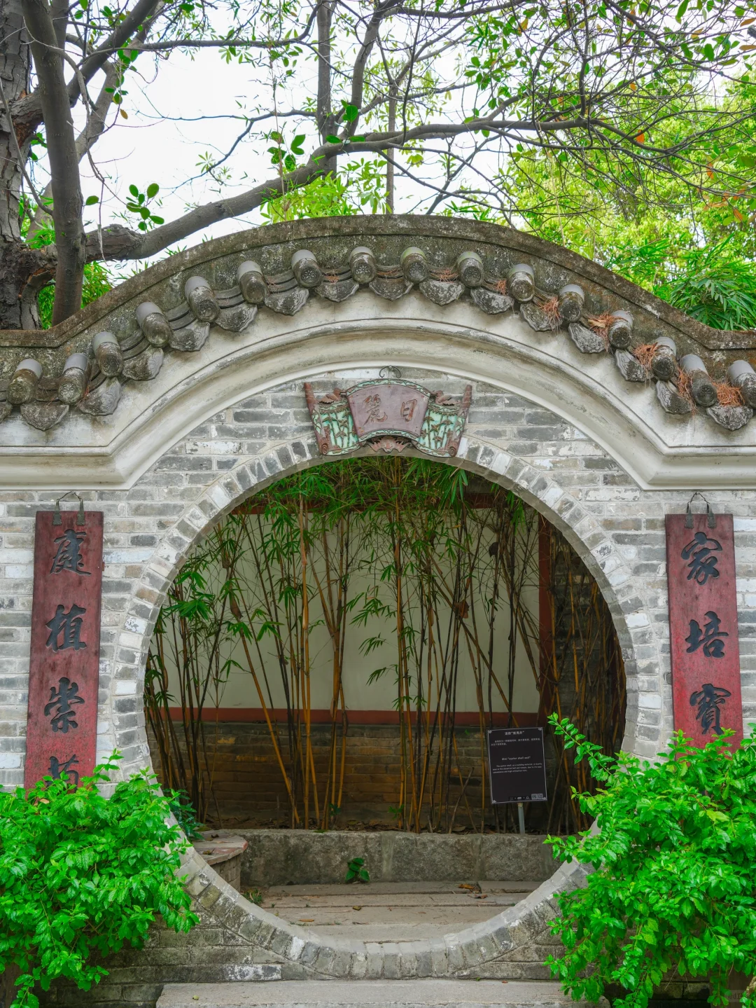 就在广东，我最喜欢的小众城市出现了‼️