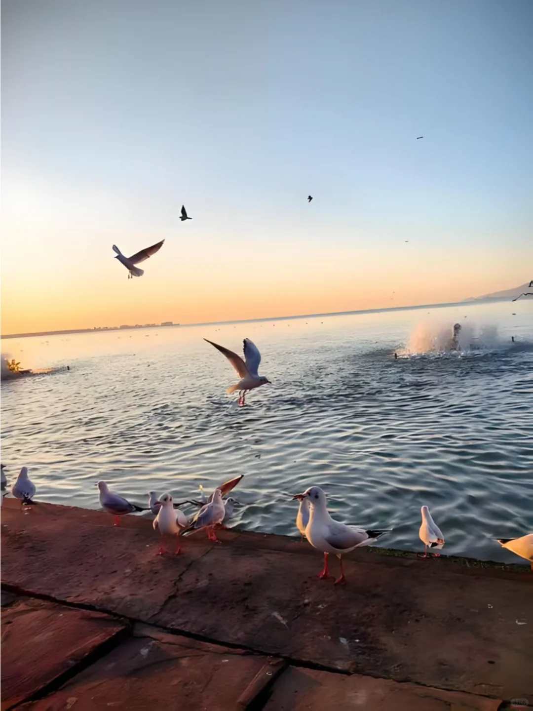 ✈️云南旅游攻略 一次就爱上的宝藏旅行地