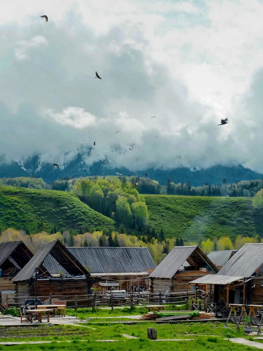 阿勒泰，这才是我的意义