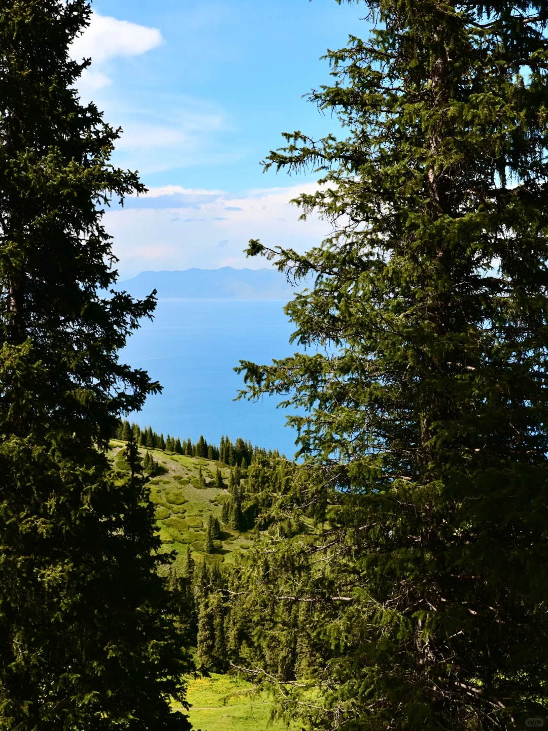 新疆伊犁环线自驾旅游攻略-景点门票篇🏷