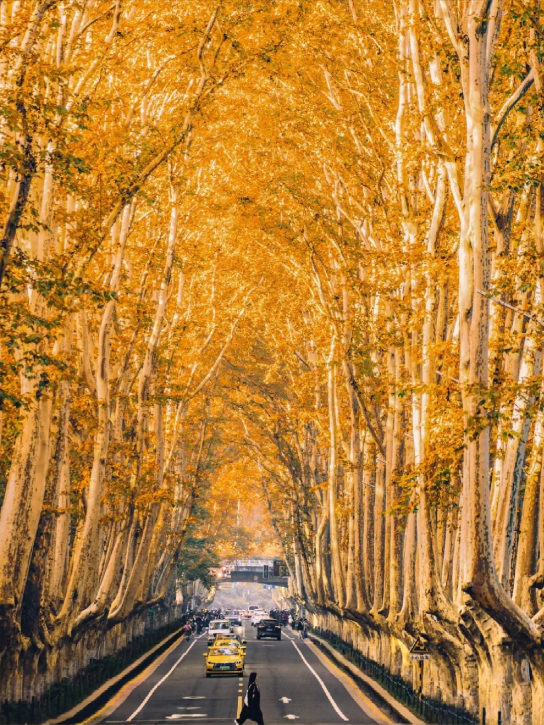 🎈来南京💯必看的旅游攻略❗好玩不踩雷