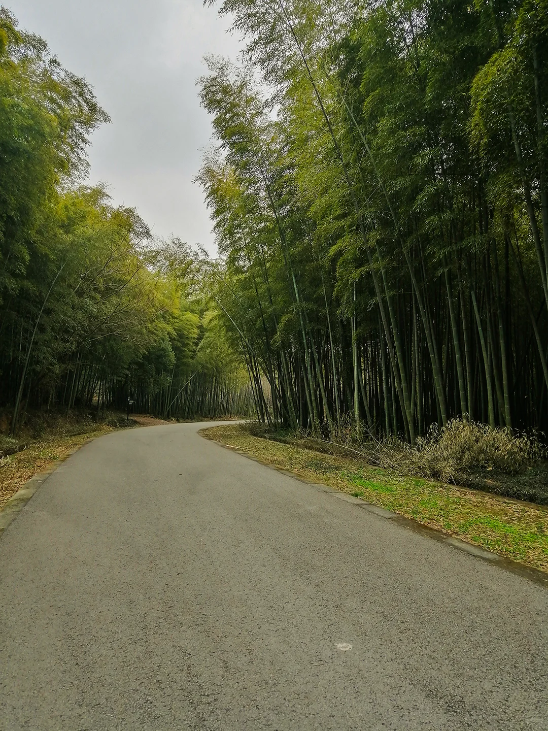 🏔每周一山：旺山大环线徒步攻略