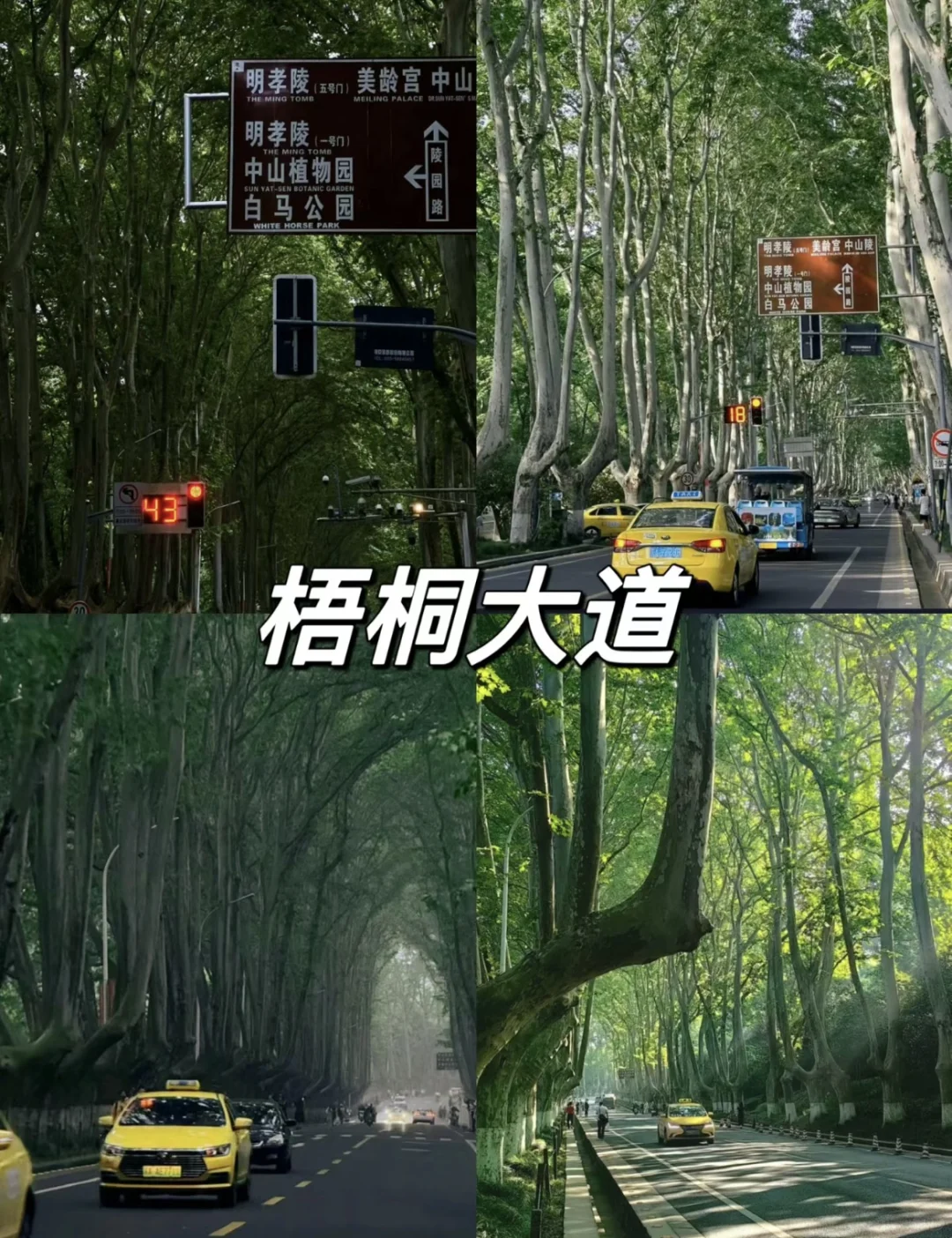 03女大📍南京/两天一夜精华版旅游攻略❗️