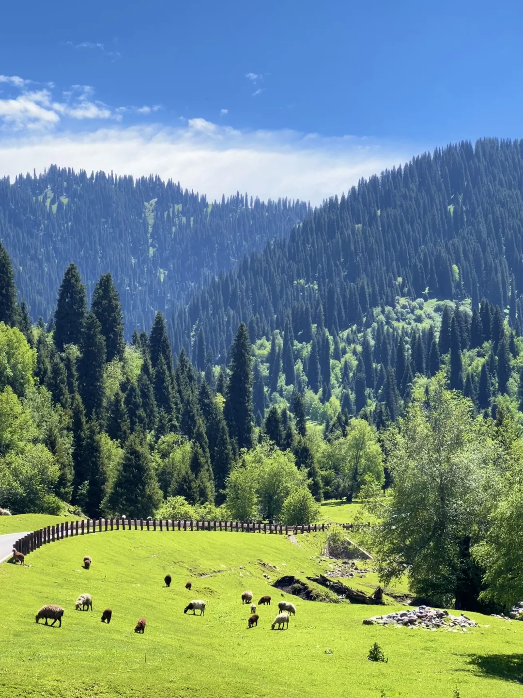 新疆旅游🍃在伊犁拍到了人生live～