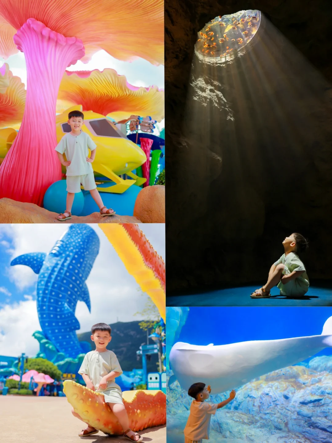 2025年2月23日珠海长隆海洋王国旅游攻略