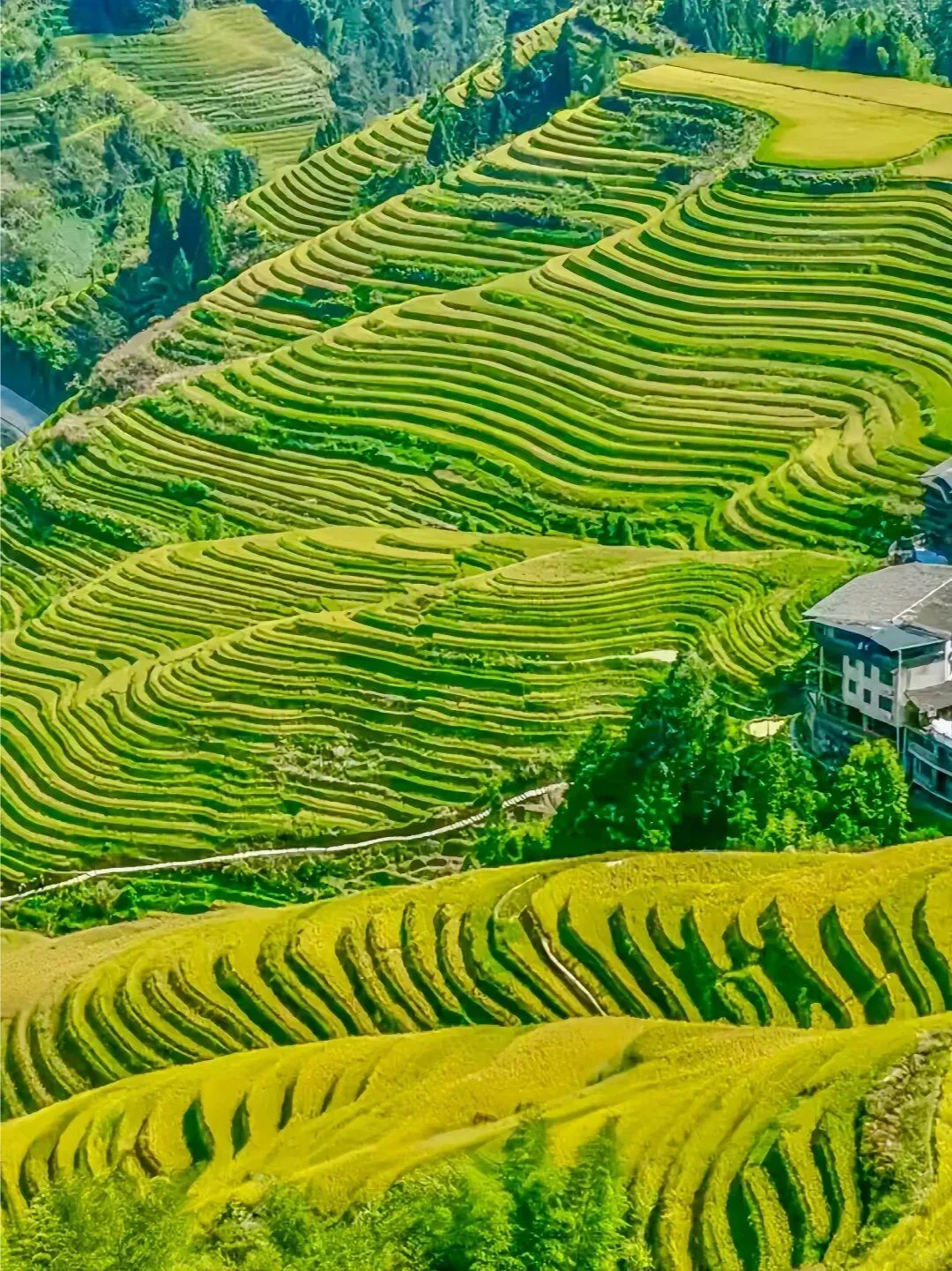 桂林山水甲天下 | 超详细旅游攻略来啦