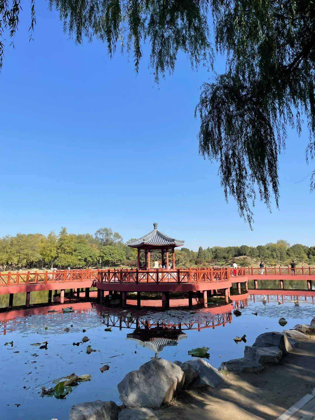 秋天的圆明园别有一番秋味🍂 北京.圆明园