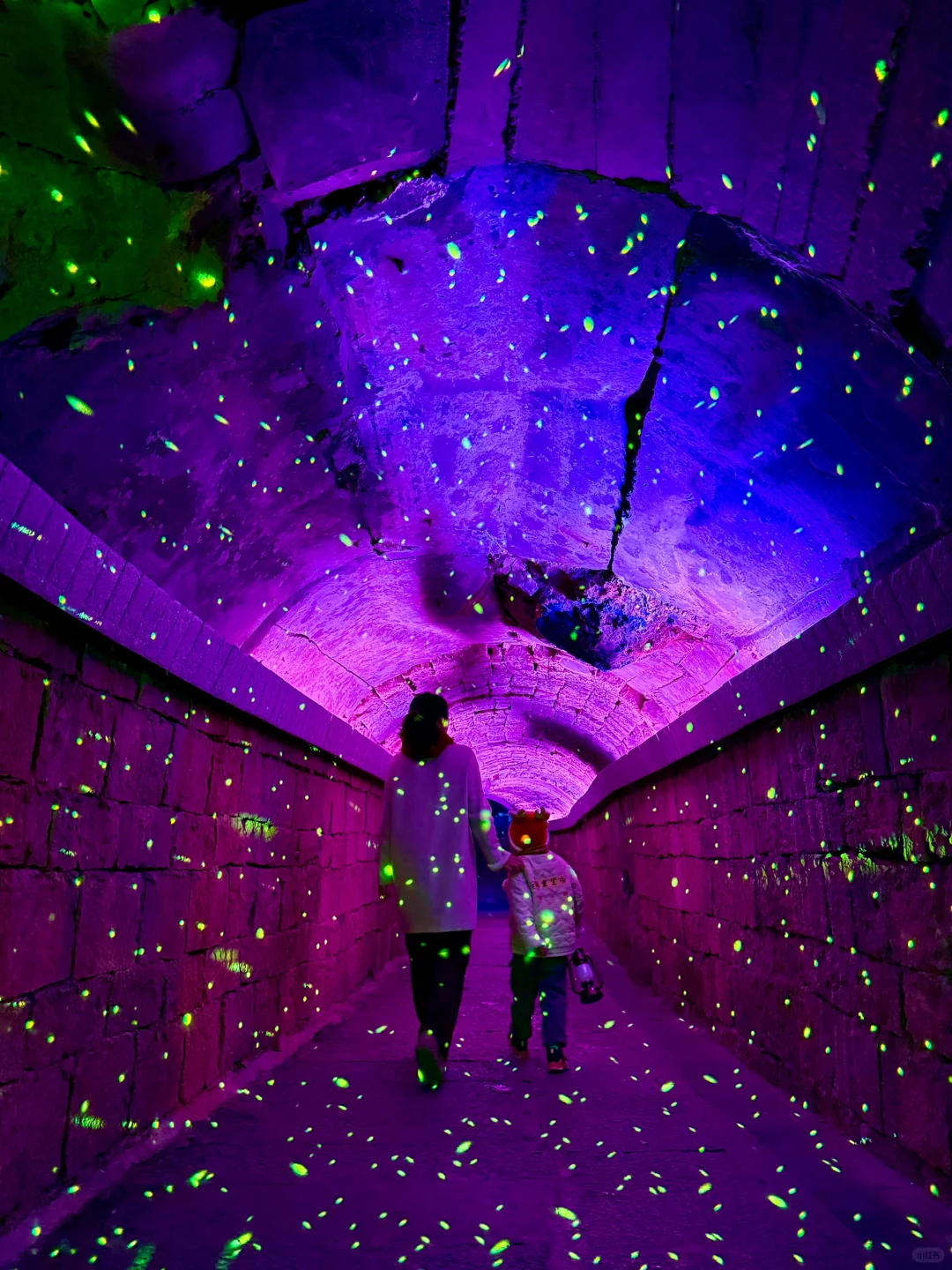 小红书跟风超成功❗️来到萤火虫般梦幻仙境❗️