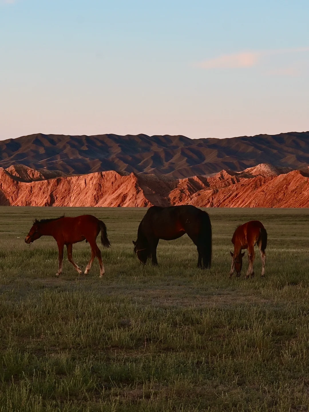 新疆伊犁环线自驾旅游攻略-景点门票篇🏷