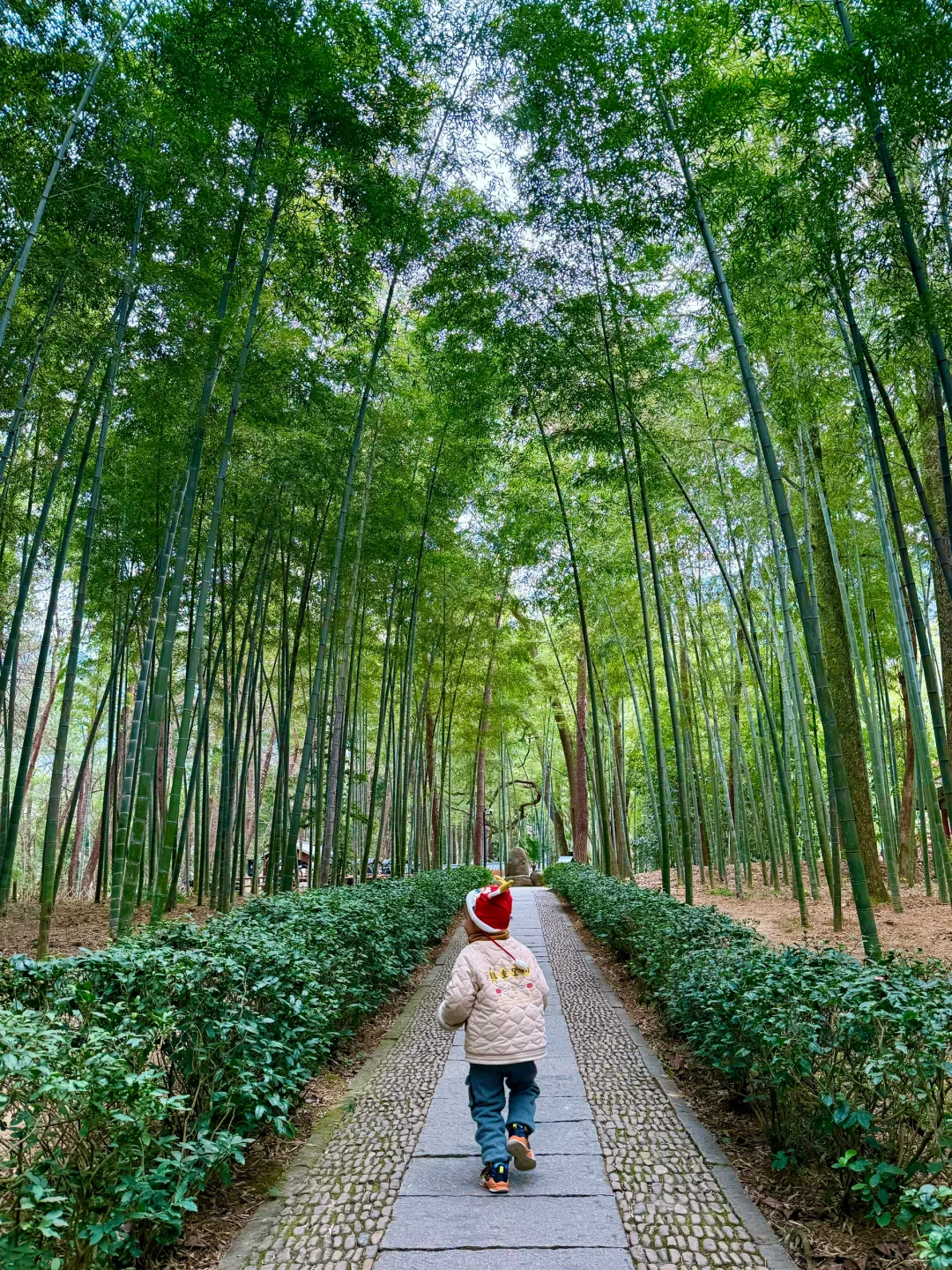 小红书跟风超成功❗️来到萤火虫般梦幻仙境❗️