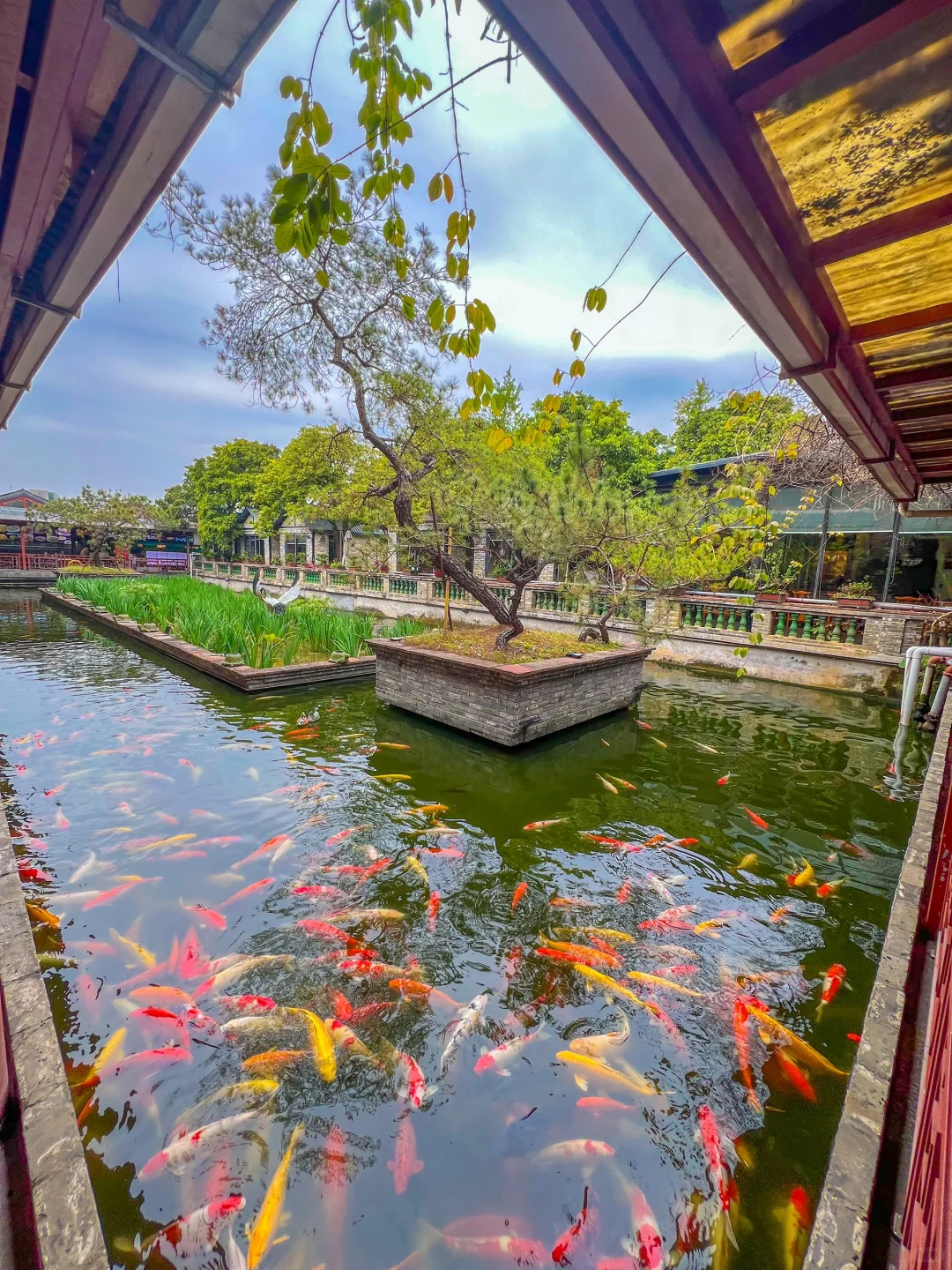 就在广东，我最喜欢的小众城市出现了‼️