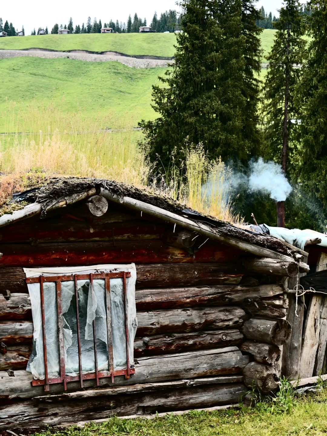 新疆伊犁环线自驾旅游攻略-景点门票篇🏷