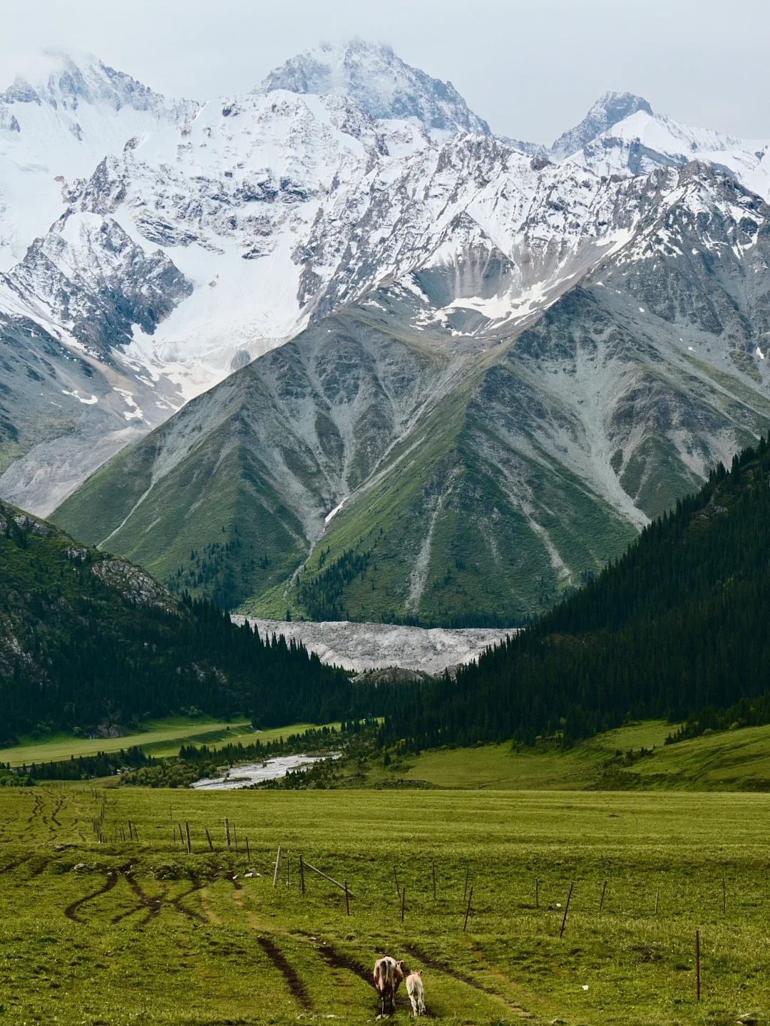 新疆伊犁环线自驾旅游攻略-景点门票篇🏷