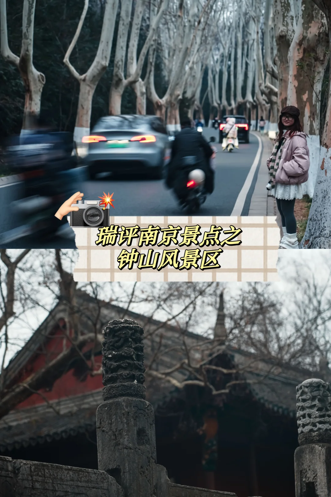 南京丨瑞评钟山景区（部分）