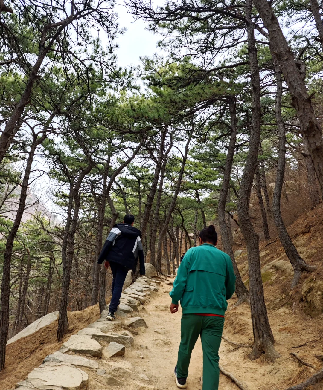 天津名山盘山免门票啦！（含攻略）