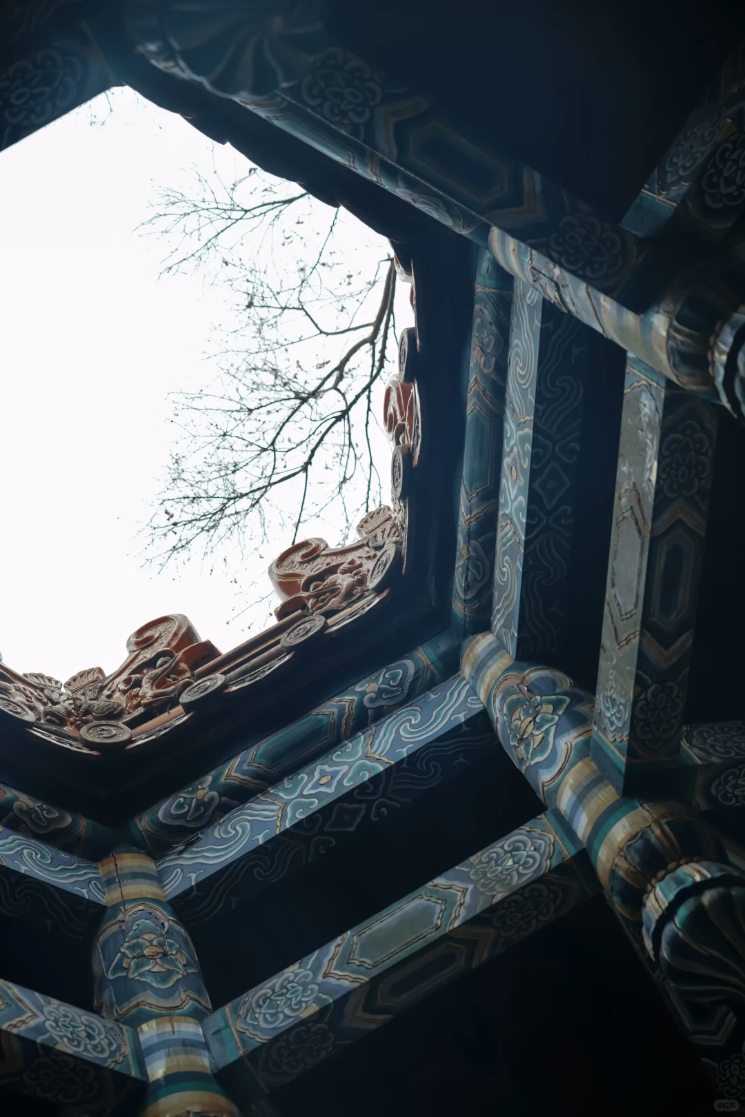 南京丨瑞评钟山景区（部分）