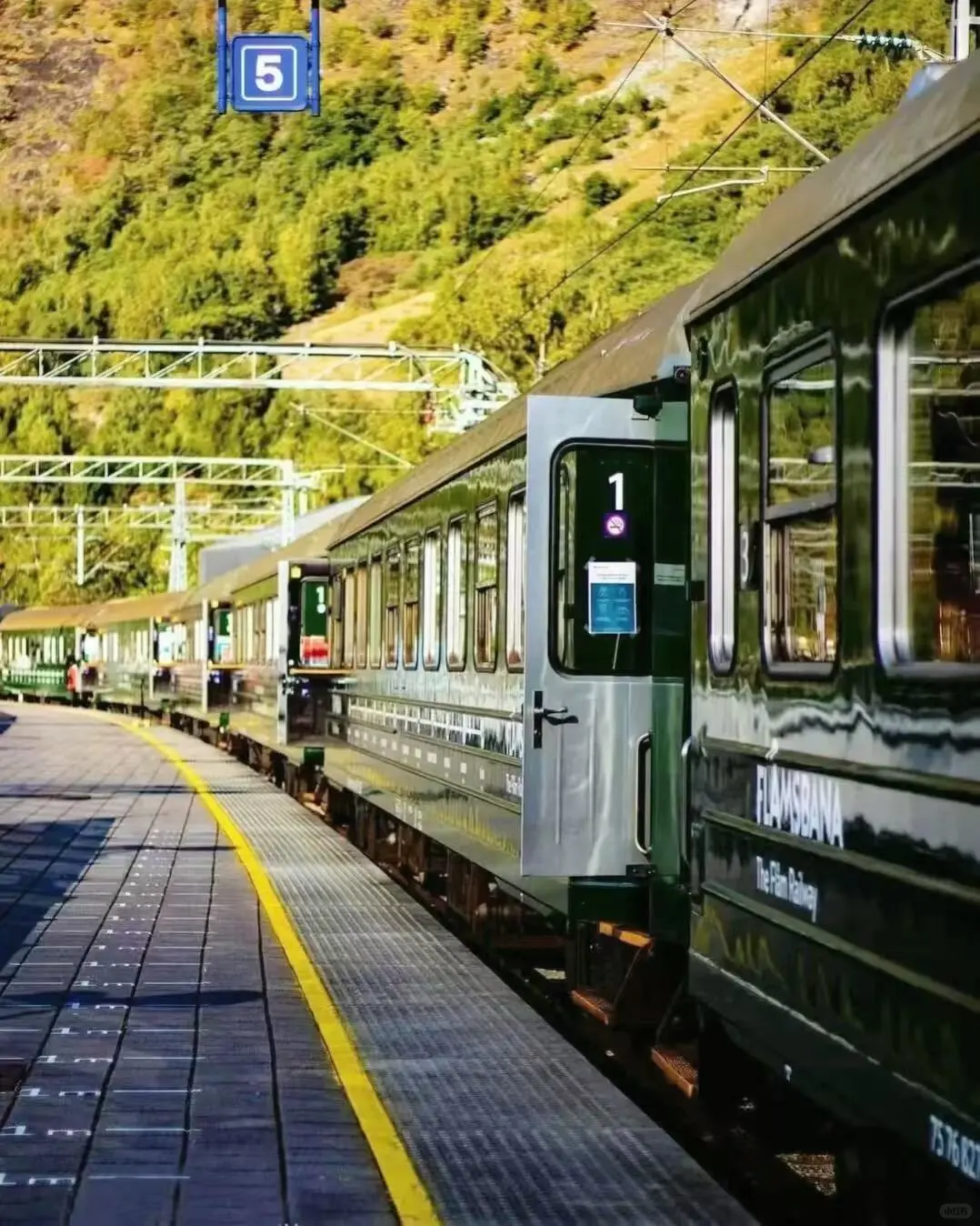 刚从法国回来😭不知道该说还是不该说…