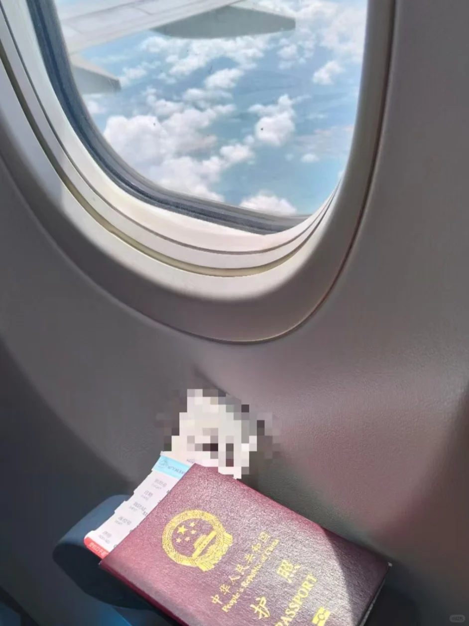 紧急求个新加坡🇸🇬旅游攻略