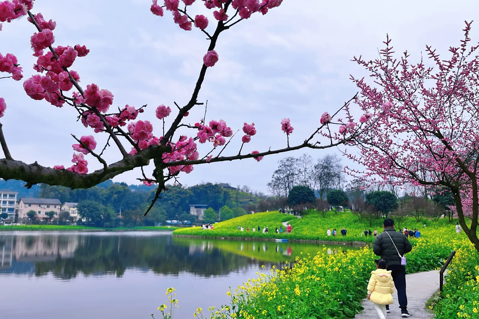 误入童话世界，周末老父亲花海里遛娃~