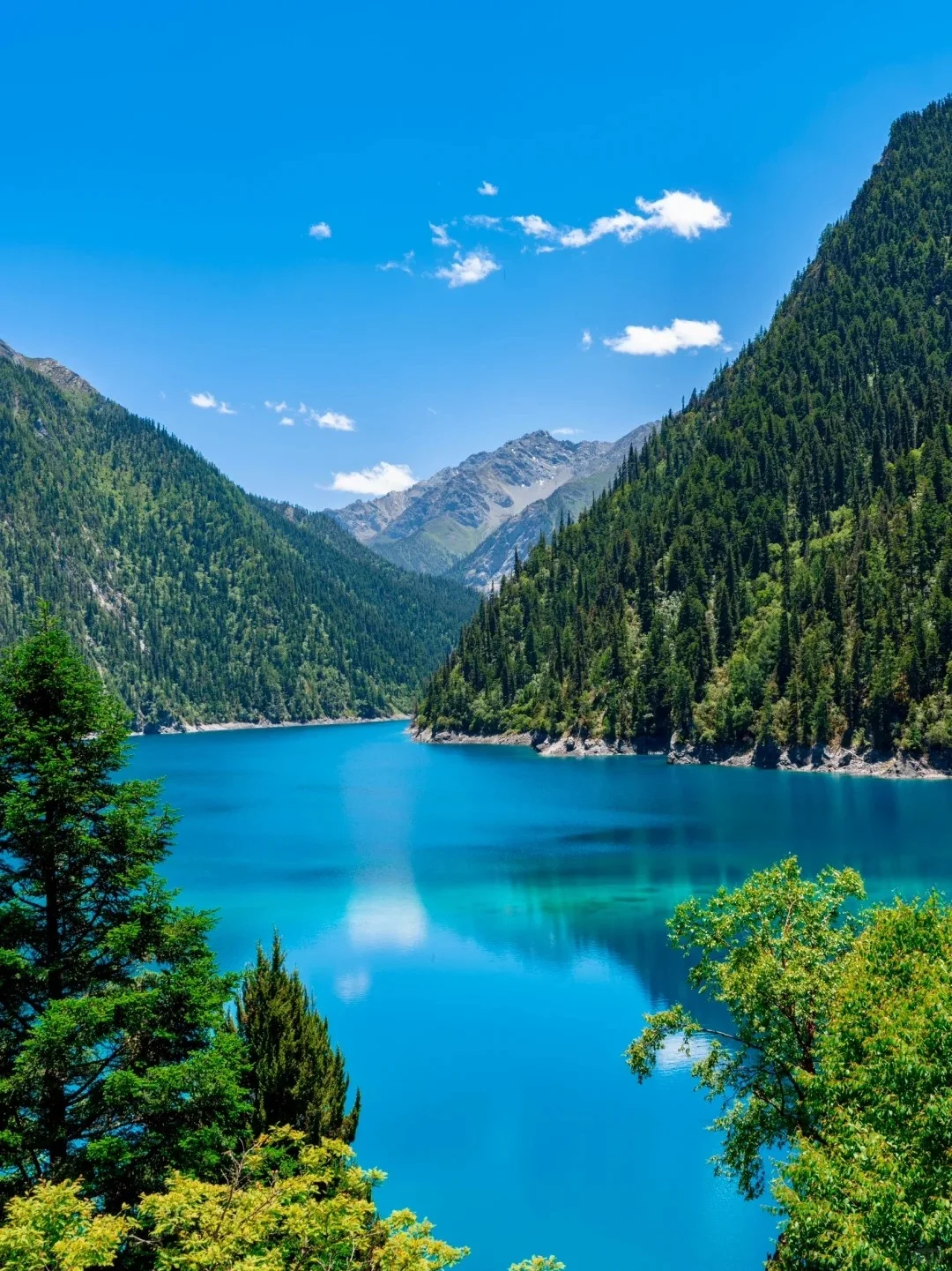 春季川西小环线🔥九寨沟+四姑娘山3日纯玩