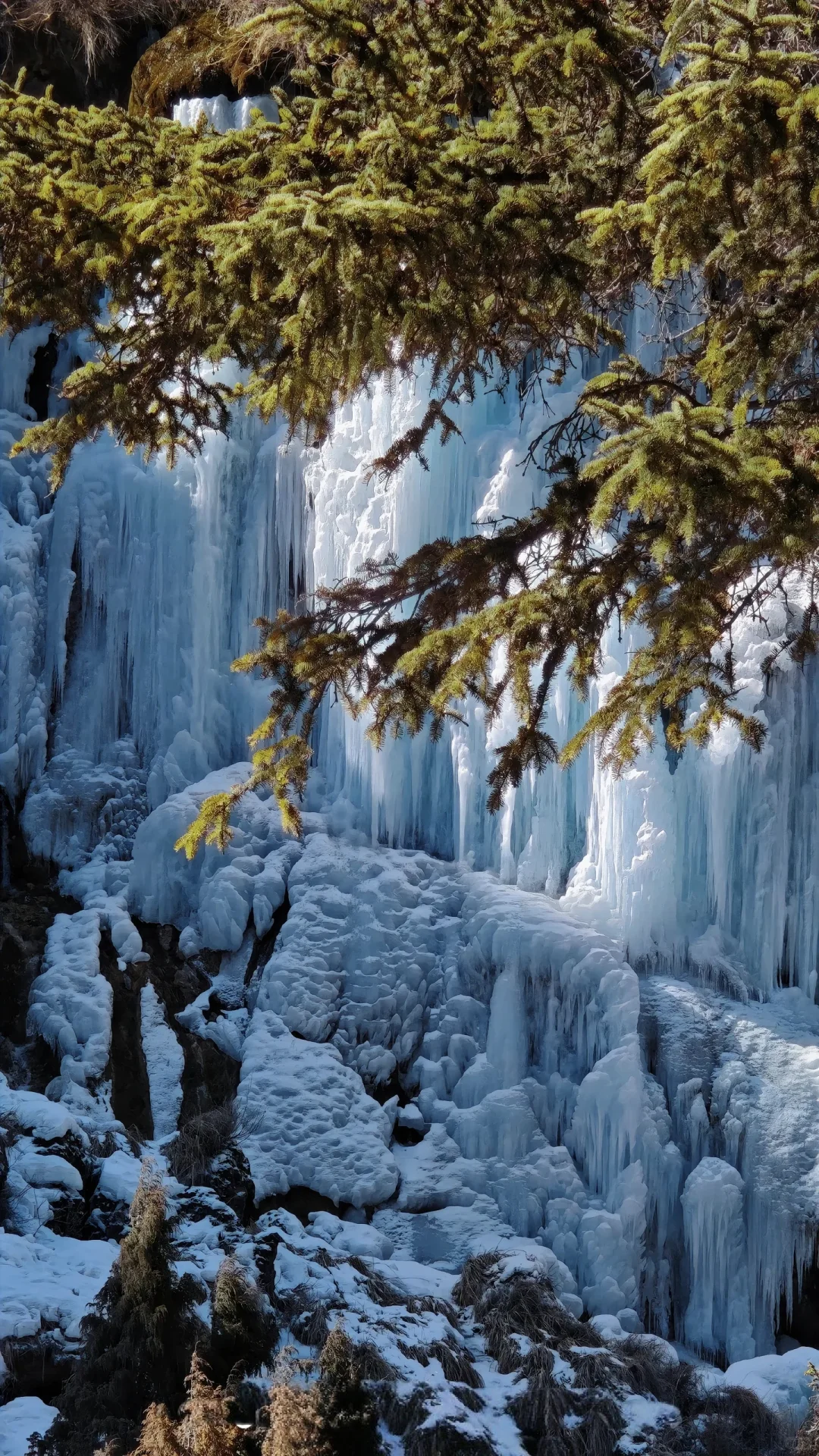 九寨沟旅游攻略