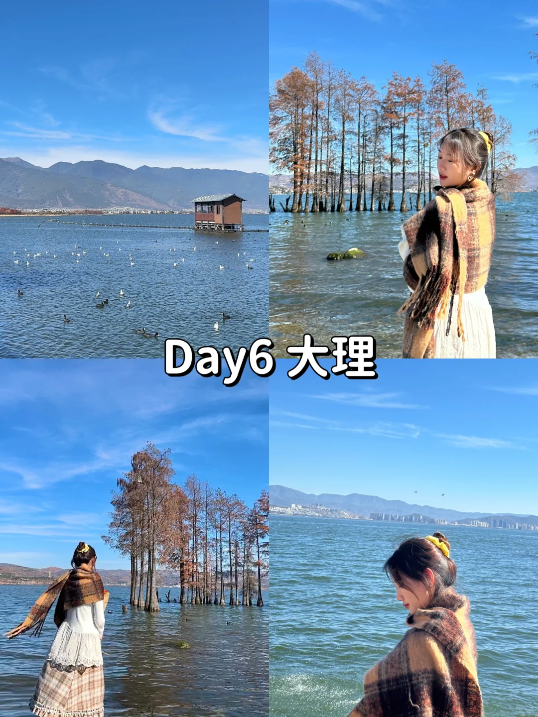 本人的云南攻略已经是next level……