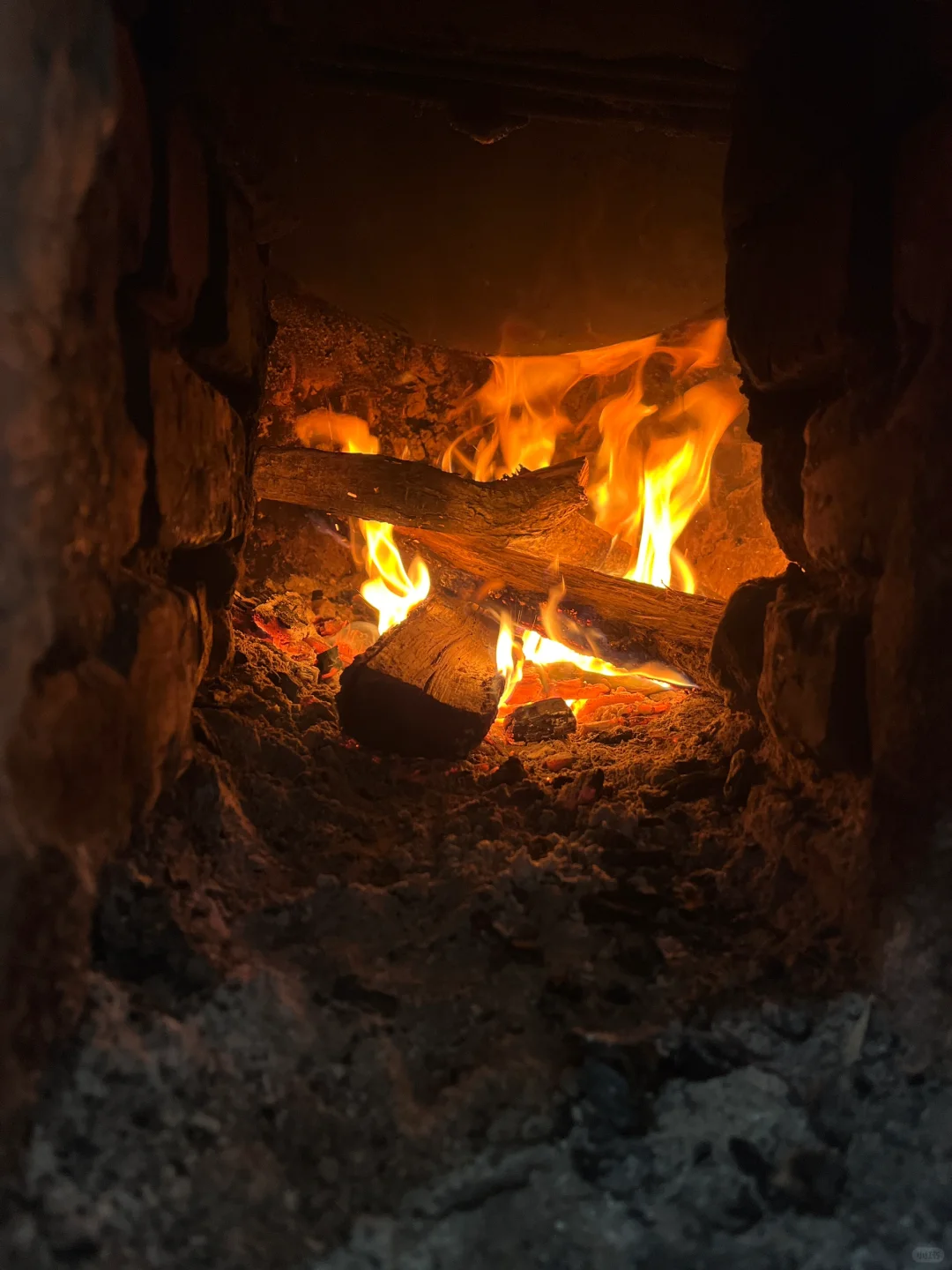 在南湾湖景区内吃到我DNA动了！