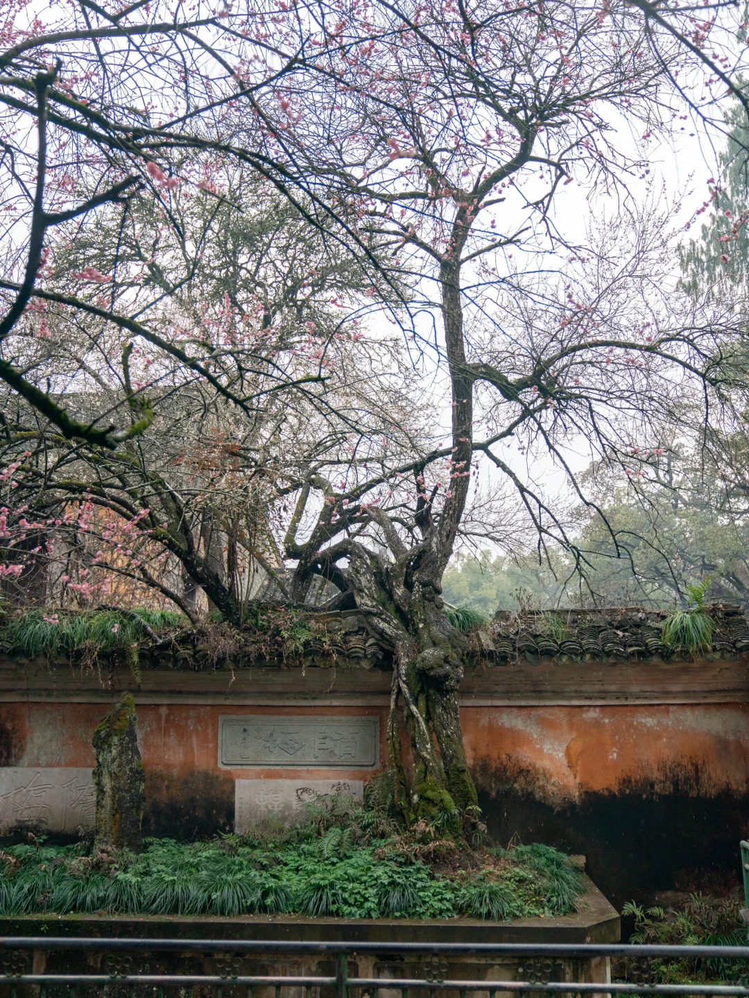 小红书里跟风最成功的一次！！！