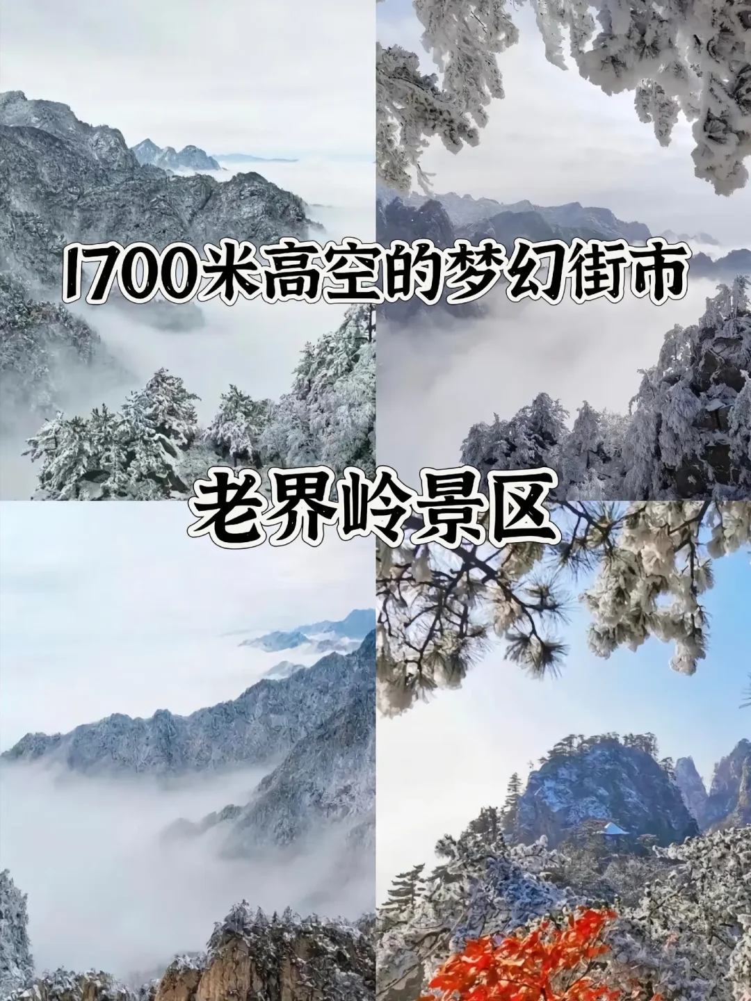 河南最值得去的16个5A级景区