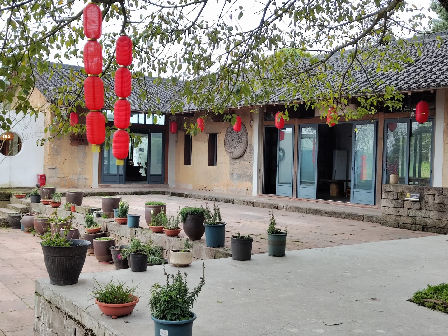 误入童话世界，周末老父亲花海里遛娃~