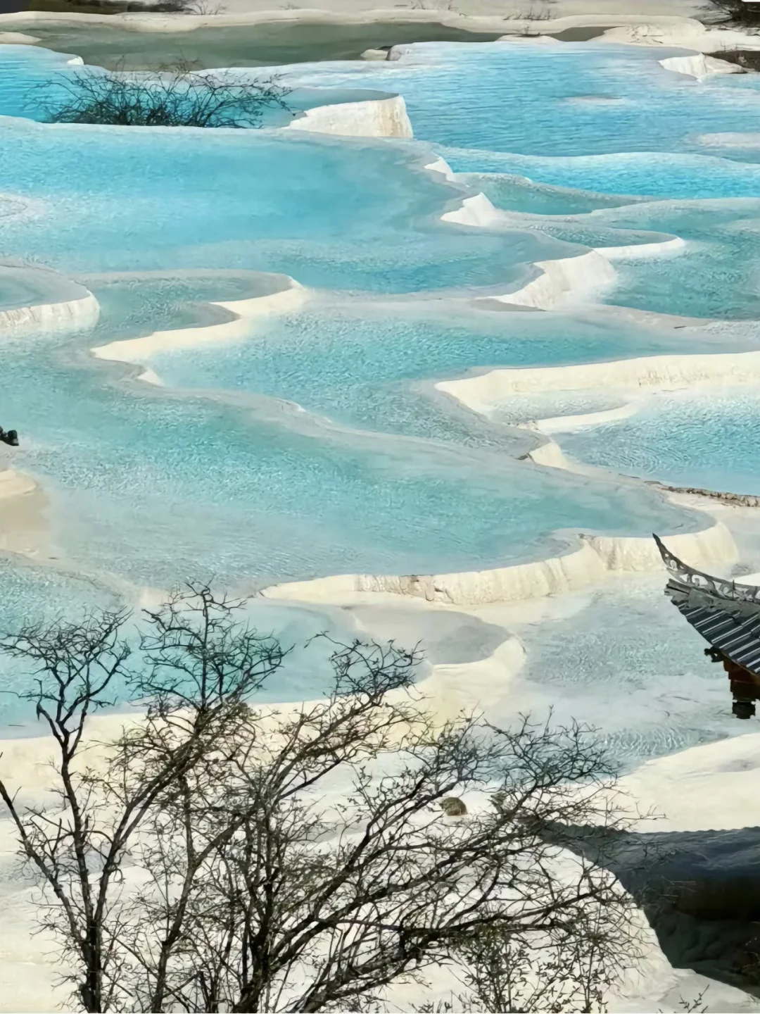 📍黄龙实拍‼️终于看到了语文课本的人间瑶池